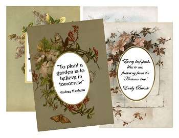 Vintage Pictures & Quotes