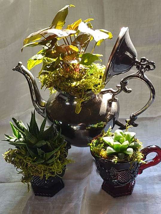 Pic 5 diffuser on table