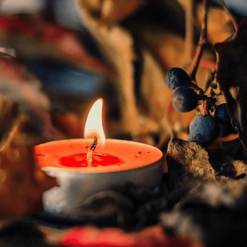 Scents of the Season