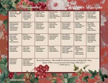 November Essential Oils Diffusing Collection